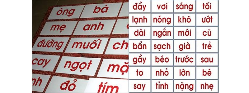Từ vựng là nền tảng quan trọng của ngôn ngữ. (Ảnh: ABCD Online)