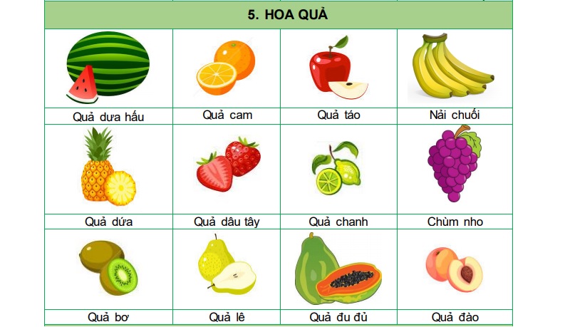 Từ vựng là gốc rễ hình thành nhiều kỹ năng khác. (Ảnh: iVina Edu)