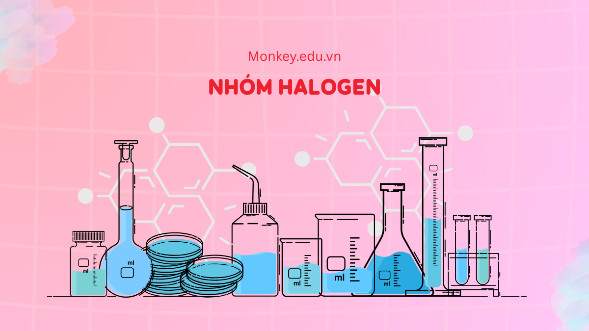 Nhóm halogen là gì? Vị trí, tính chất, ứng dụng và cách điều chế!