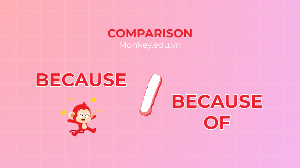Compare BECAUSE and BECAUSE OF through easy-to-understand examples (+ exercises with answers)