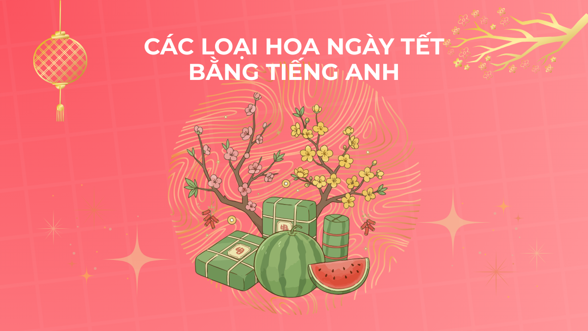 Tổng hợp các loại hoa ngày Tết bằng tiếng Anh kèm ý nghĩa