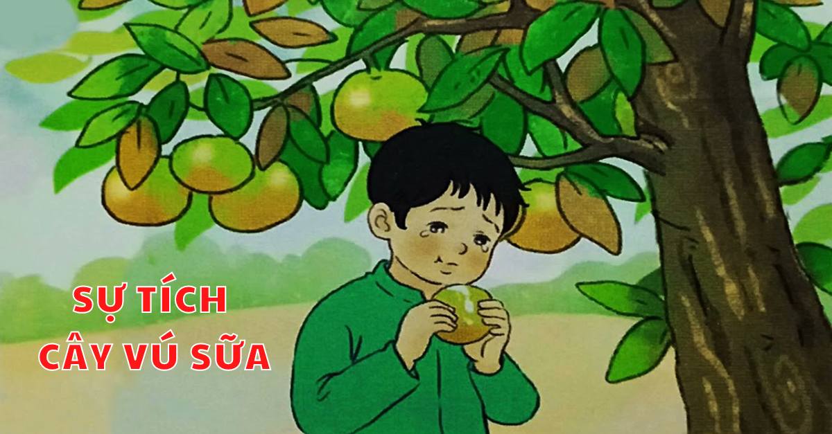 Soạn bài tiếng Việt lớp 2: Sự tích cây vú sữa - Kết nối tri thức với cuộc sống