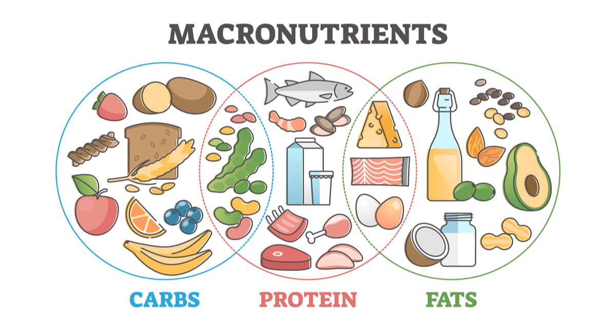 Carbohydrate gồm các loại nào? Cách phân biệt carb tốt và carb xấu