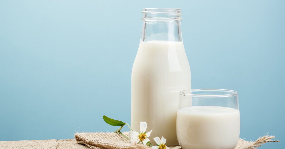 Sữa là chất dinh dưỡng gì? Tại sao các chế phẩm từ sữa chiếm vai trò quan trọng trong các bữa ăn?