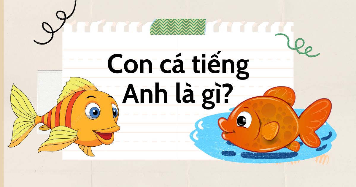 Con cá tiếng Anh là gì? Từ vựng về các loại cá trong tiếng Anh