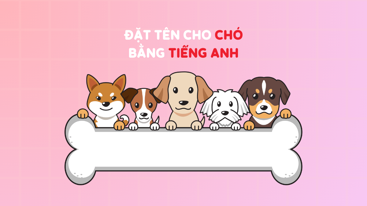 Mẹo đặt tên cho chó bằng tiếng Anh độc lạ: 400+ tên siêu 'yêu', ấn tượng