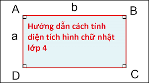 Dạng Toán Tính Diện Tích Hình Chữ Nhật Lớp 4