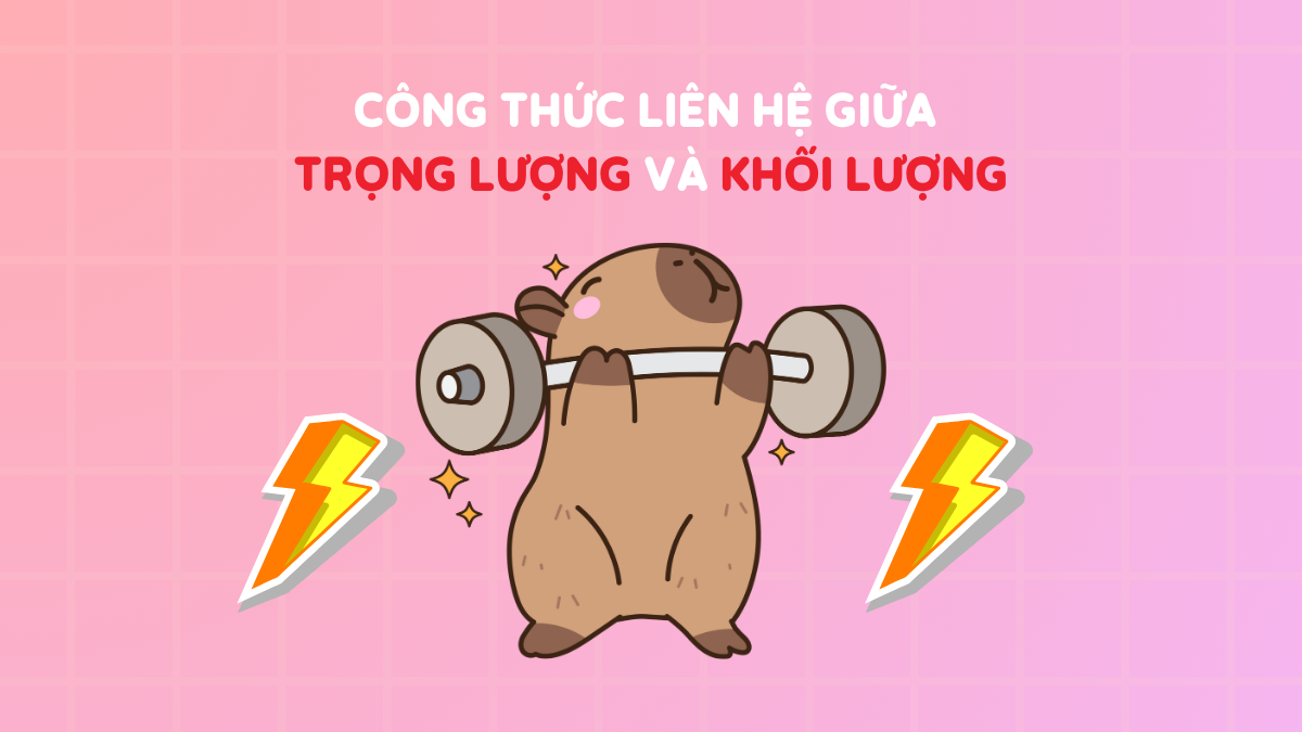 Công thức liên hệ giữa trọng lượng và khối lượng (+ bài tập)