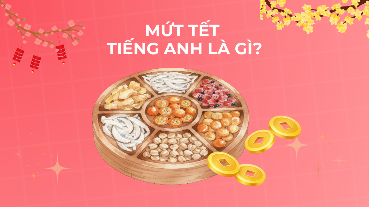 Mứt Tết tiếng Anh là gì? Trọn bộ từ vựng các món ăn ngày Tết
