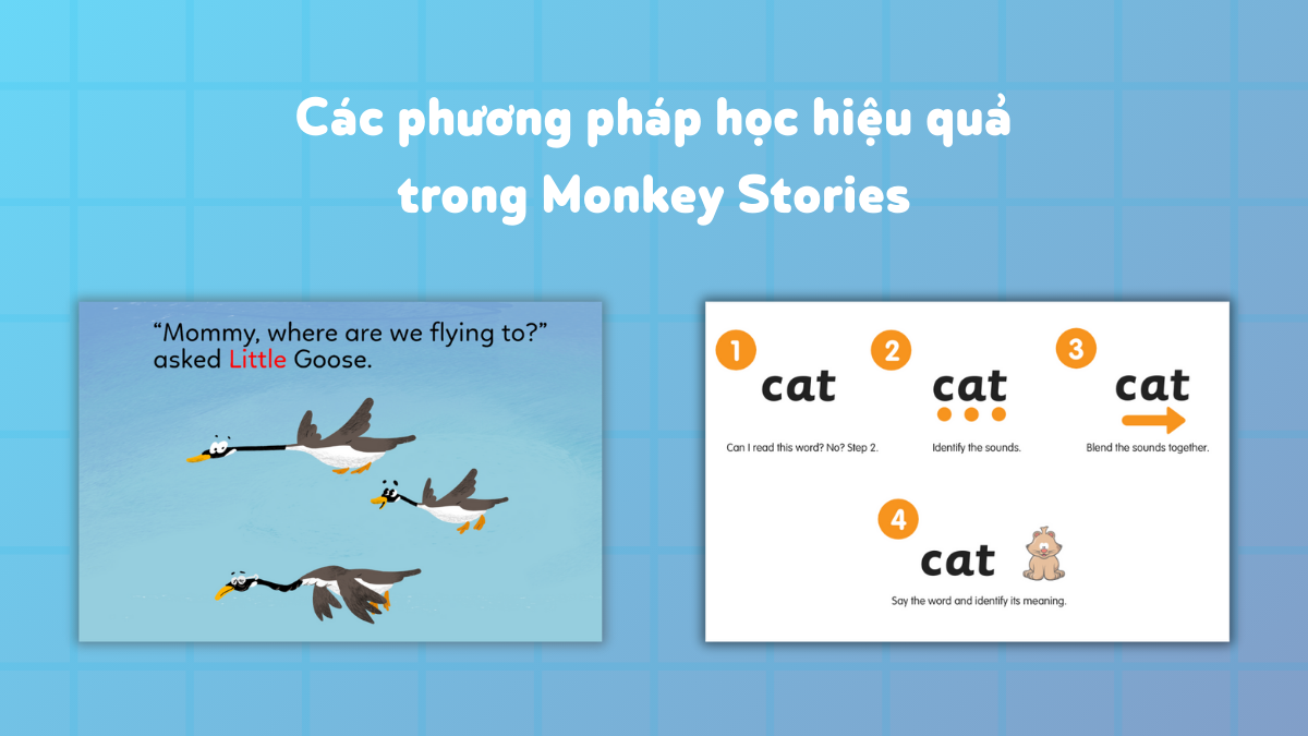 Điểm danh các phương pháp học hiệu quả trong Monkey Stories