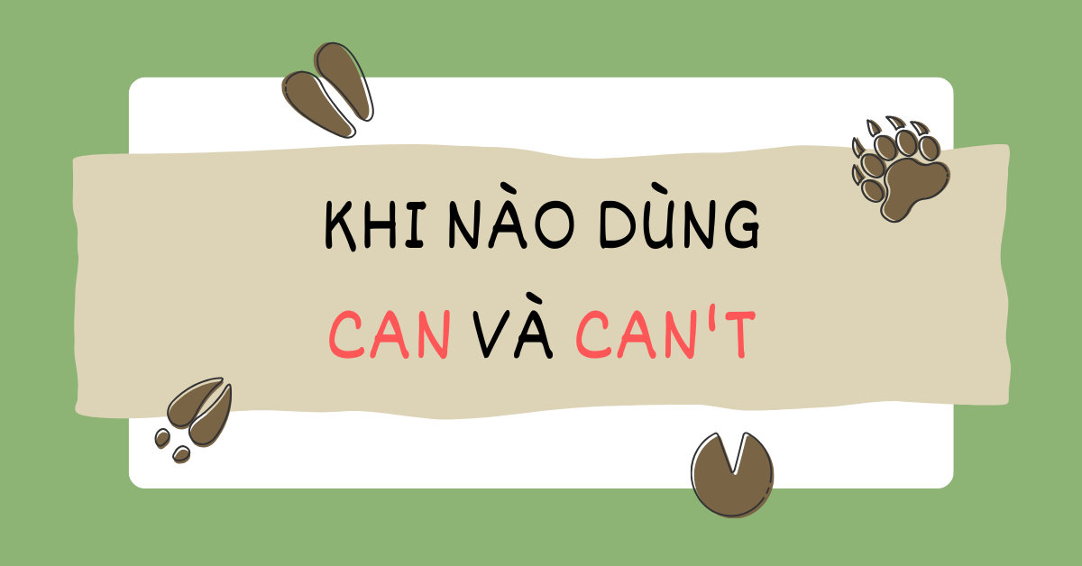 Khi nào dùng can và can't? Cấu trúc, ví dụ và bài tập vận dụng!