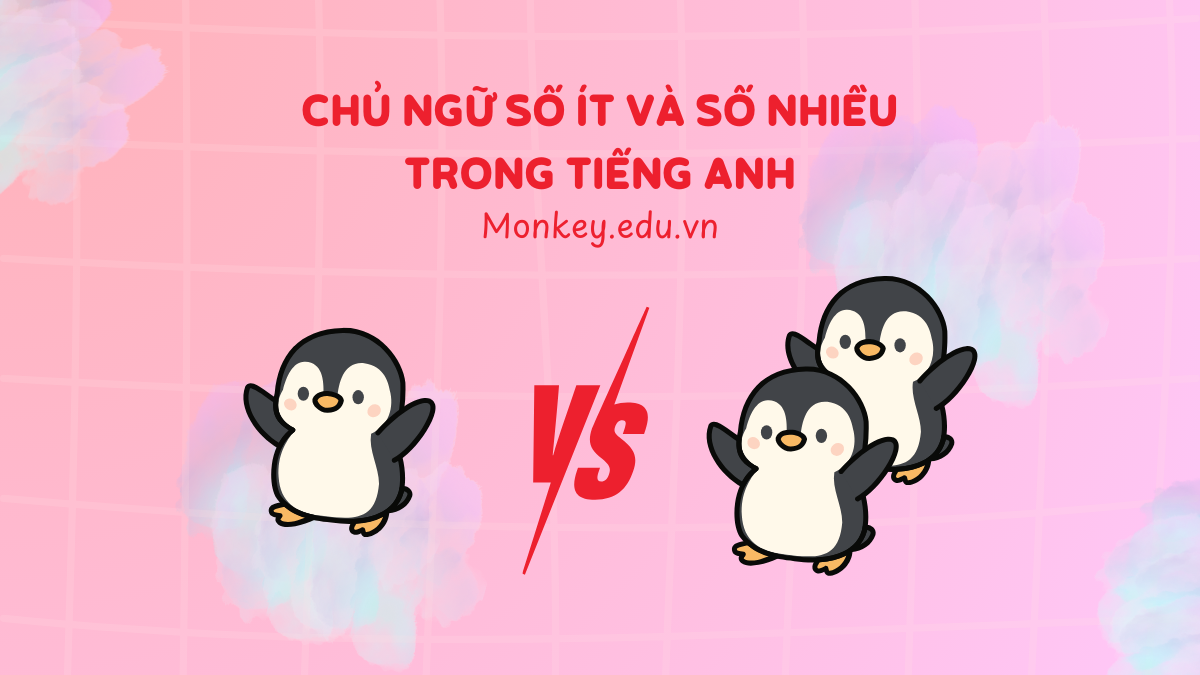Chủ ngữ số ít và số nhiều trong tiếng Anh: Cách chia động từ