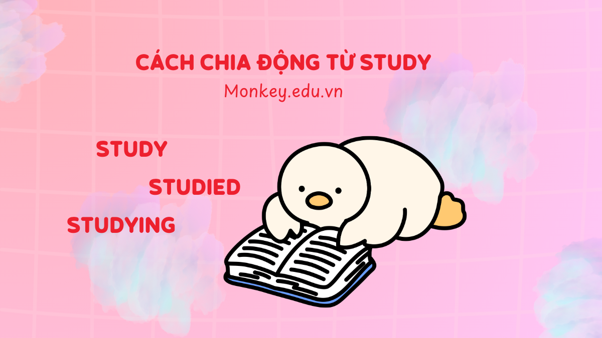 Cách chia động từ Study trong tiếng Anh (+ bài tập)