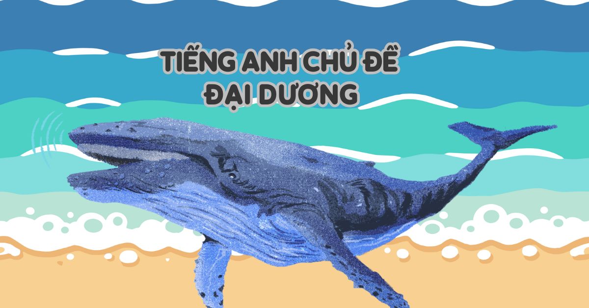 Đại dương tiếng Anh là gì? Từ vựng và mẫu câu theo chủ đề đại dương