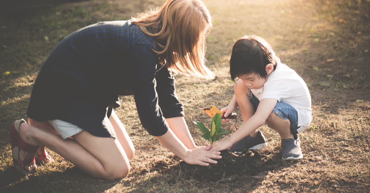 Dạy trẻ trồng cây – Cách giúp con yêu thiên nhiên và sống có trách nhiệm