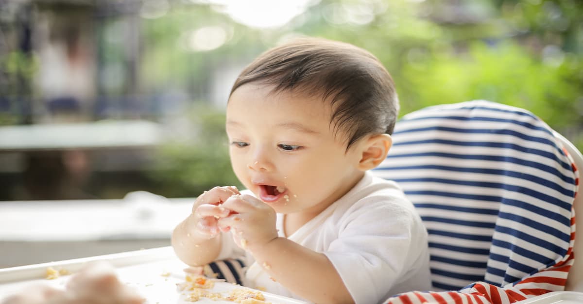 Top 12 bánh ăn dặm cho bé 1 tuổi ba mẹ tham khảo