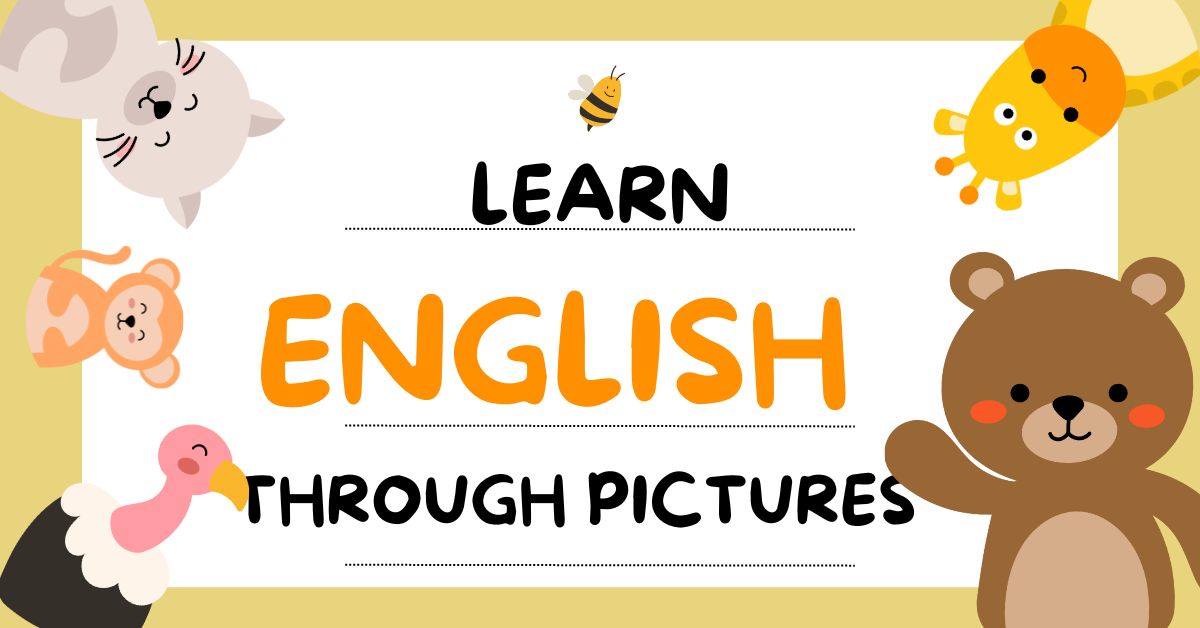 Effective Ways for Children to Learn English Through Pictures