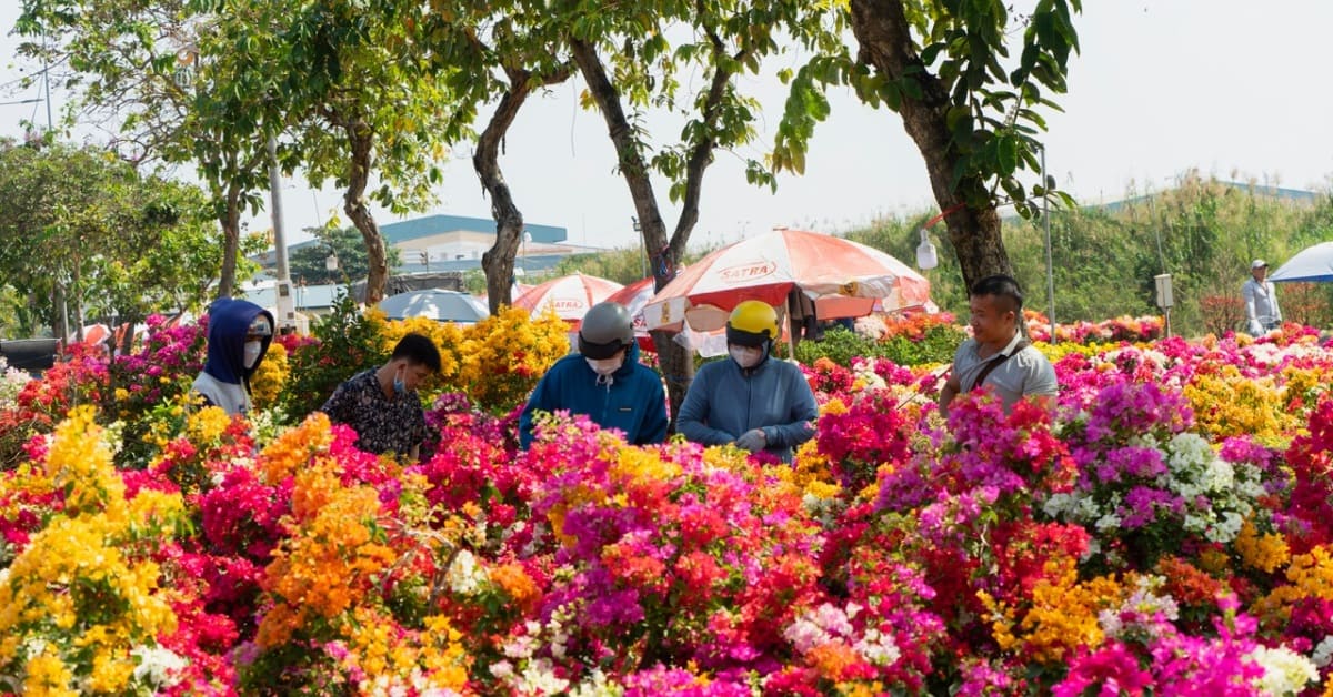 Tổng hợp các loại hoa ngày Tết bằng tiếng Anh kèm ý nghĩa