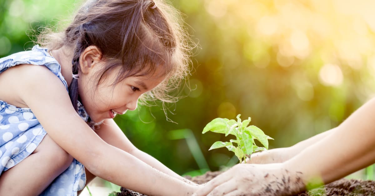 Dạy trẻ chăm sóc cây xanh như thế nào? Hướng dẫn chi tiết các cách