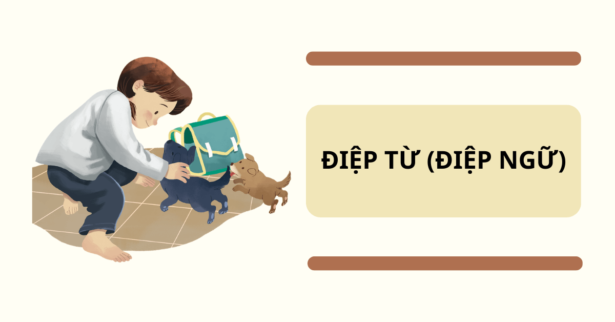 Phân loại câu hỏi tu từ. (Ảnh: Sưu tầm Internet)