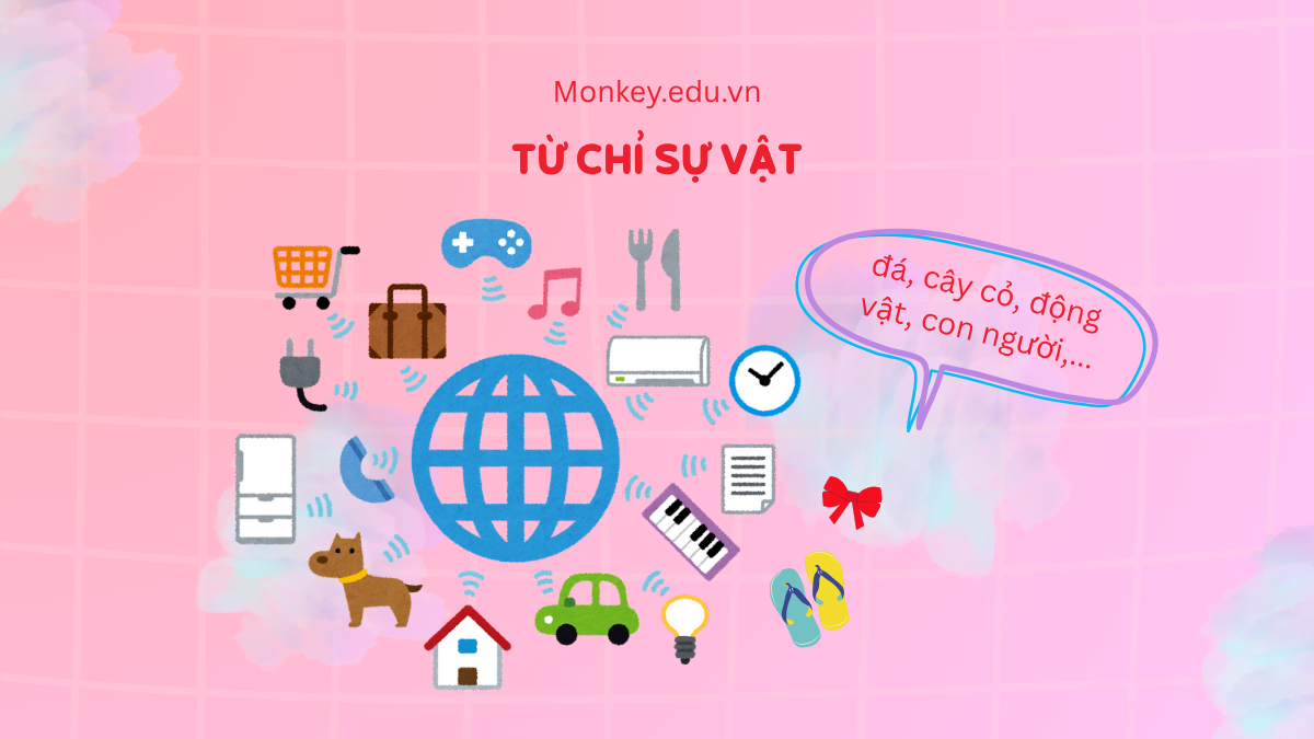Từ chỉ sự vật là gì? Đặc điểm, ví dụ và bài tập tiếng Việt