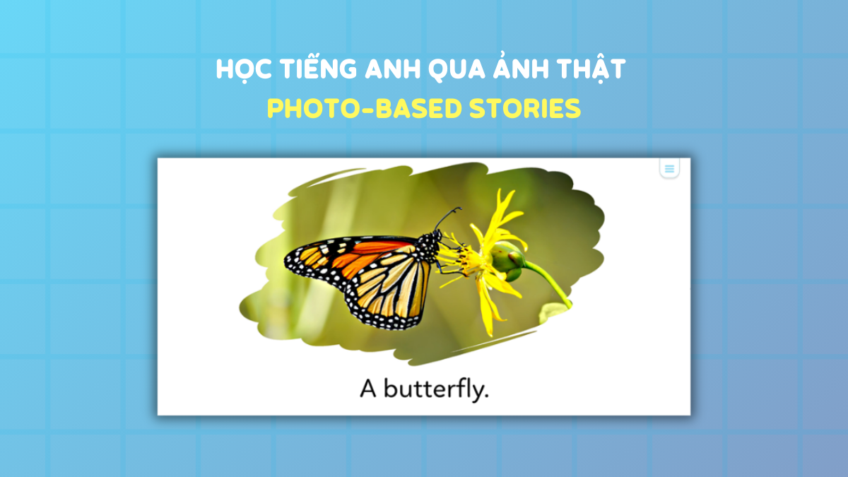 Học tiếng Anh qua ảnh thật (Photo-based Stories) cùng Monkey Stories