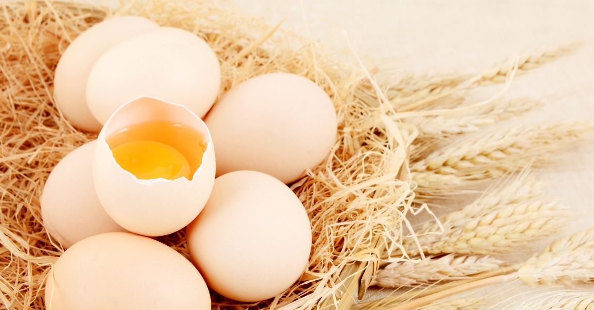Phụ nữ sau sinh ăn trứng được không? Những lưu ý khi sử dụng trứng gà