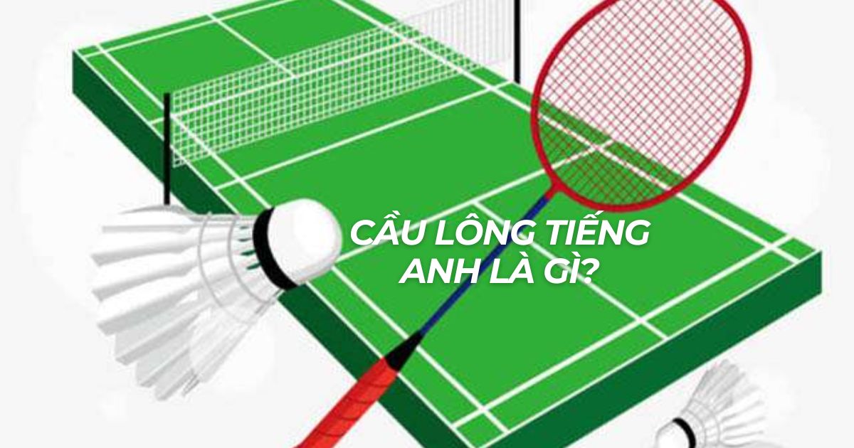 Cầu lông tiếng Anh là gì? Bộ từ vựng môn cầu lông trong tiếng Anh