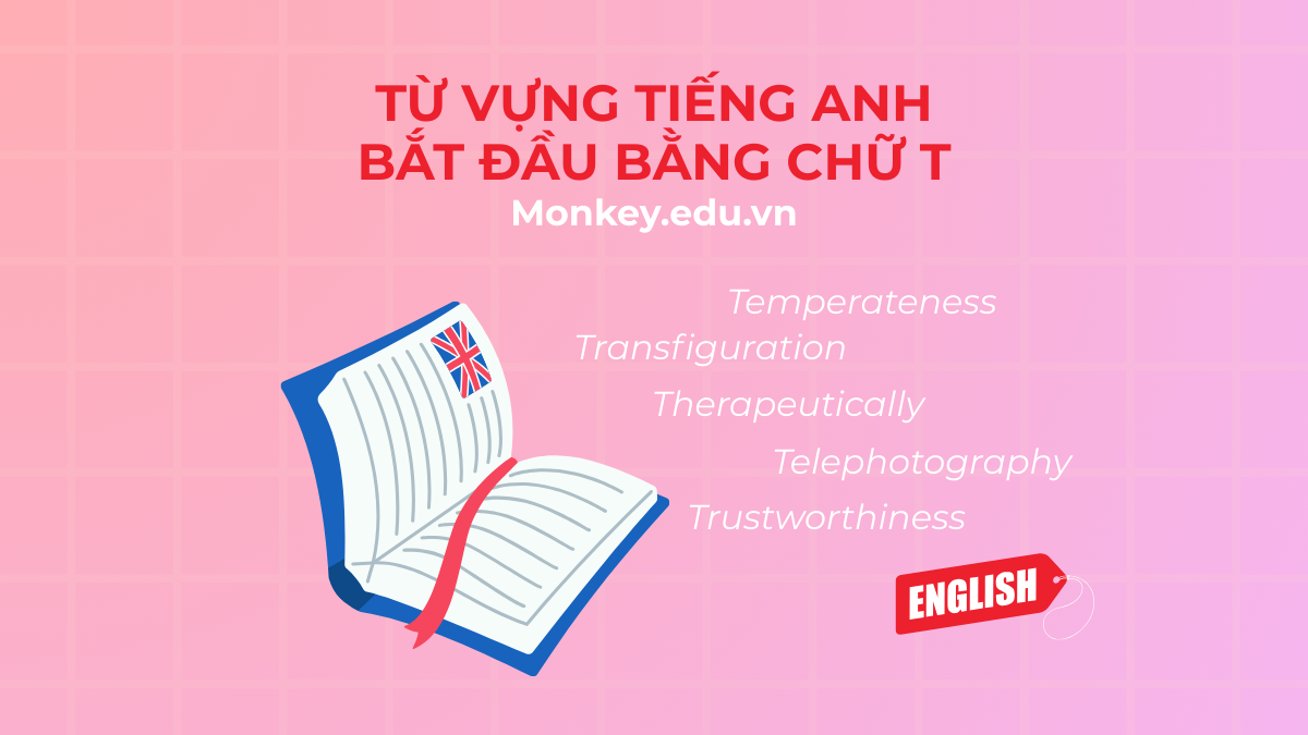 250+ từ vựng tiếng Anh bắt đầu bằng chữ T thường gặp nhất! (đầy đủ)