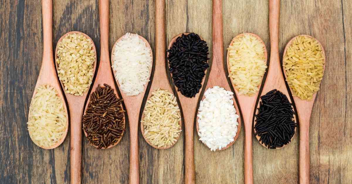Hạt gạo có chất xơ không? Những lợi ích tuyệt vời đối với sức khỏe