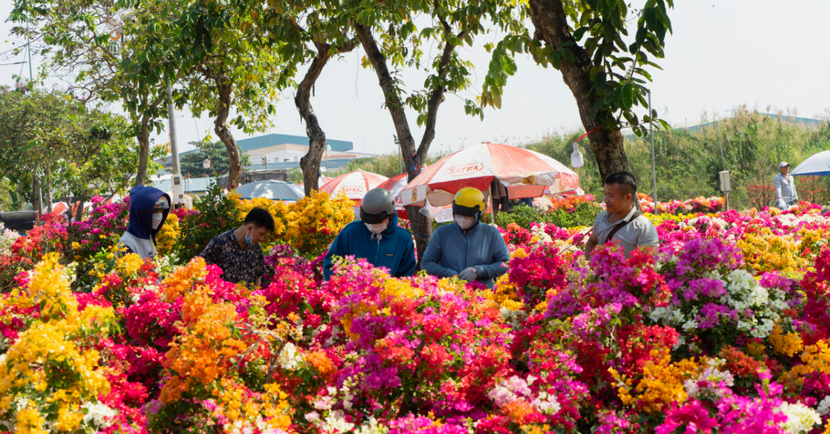 Các loại hoa ngày Tết bằng tiếng Anh thông dụng nhất và ý nghĩa của chúng [Cập nhật mới nhất]