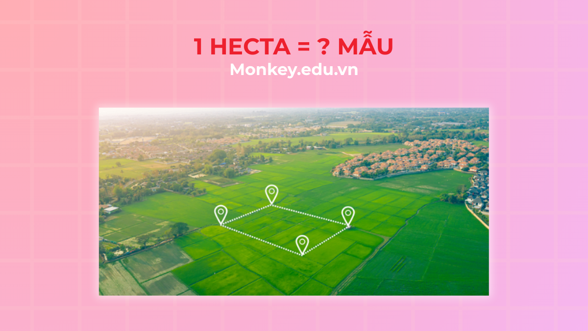 1 HECTA bằng bao nhiêu MẪU? bao nhiêu MÉT VUÔNG/SÀO?