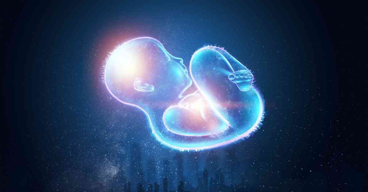 Nhận biết dấu hiệu có phôi thai trong tử cung - Mẹ bầu cần làm gì?