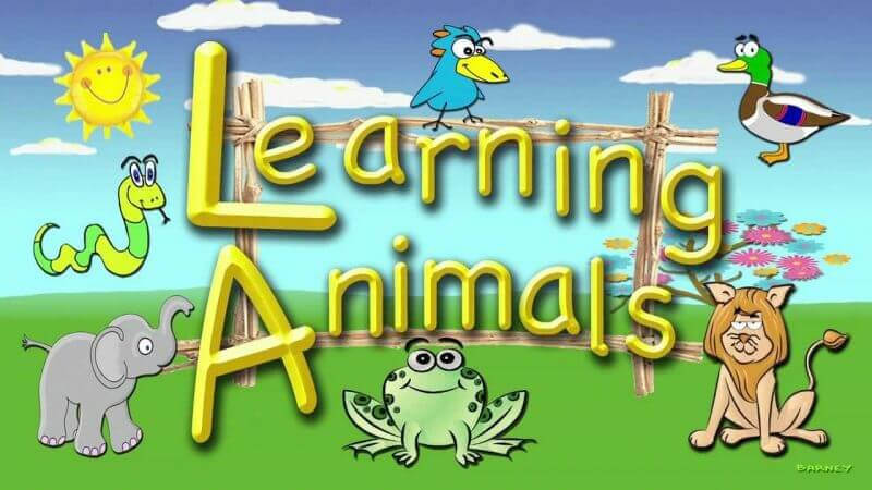 Best English Learning Books For Kids