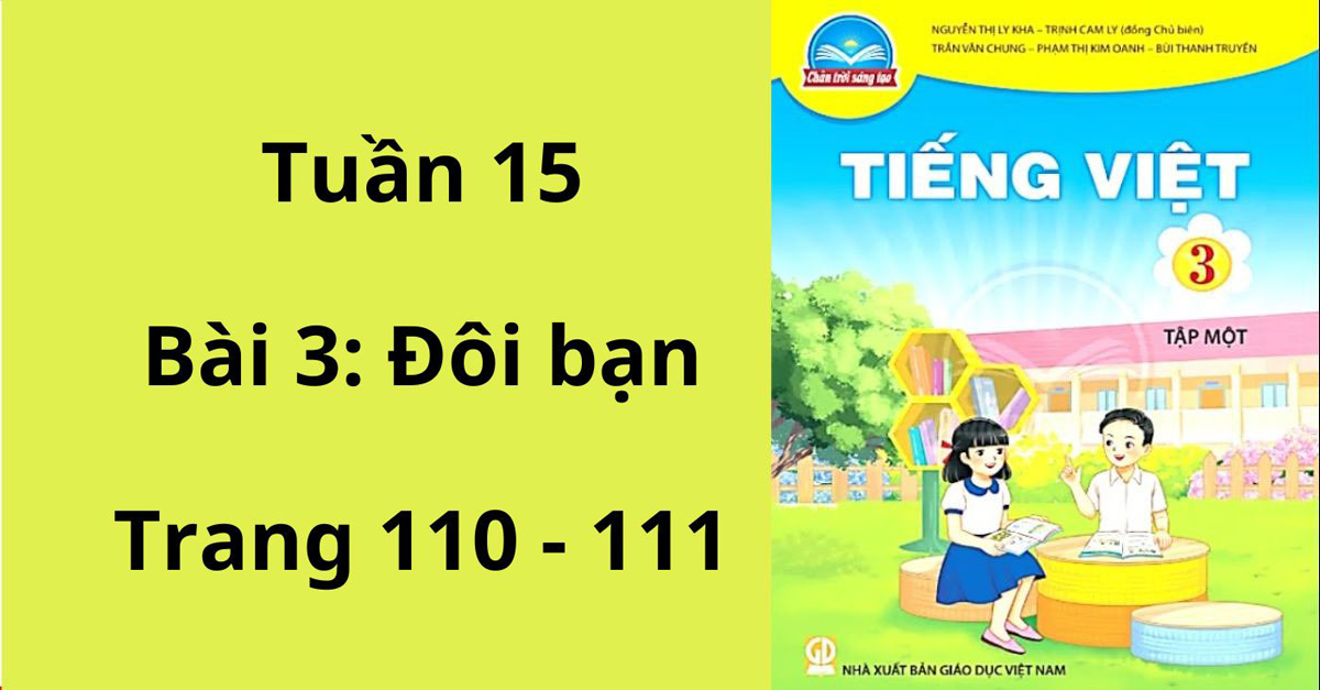 Tiếng Việt lớp 3 Đôi bạn: Đọc hiểu và trả lời câu hỏi