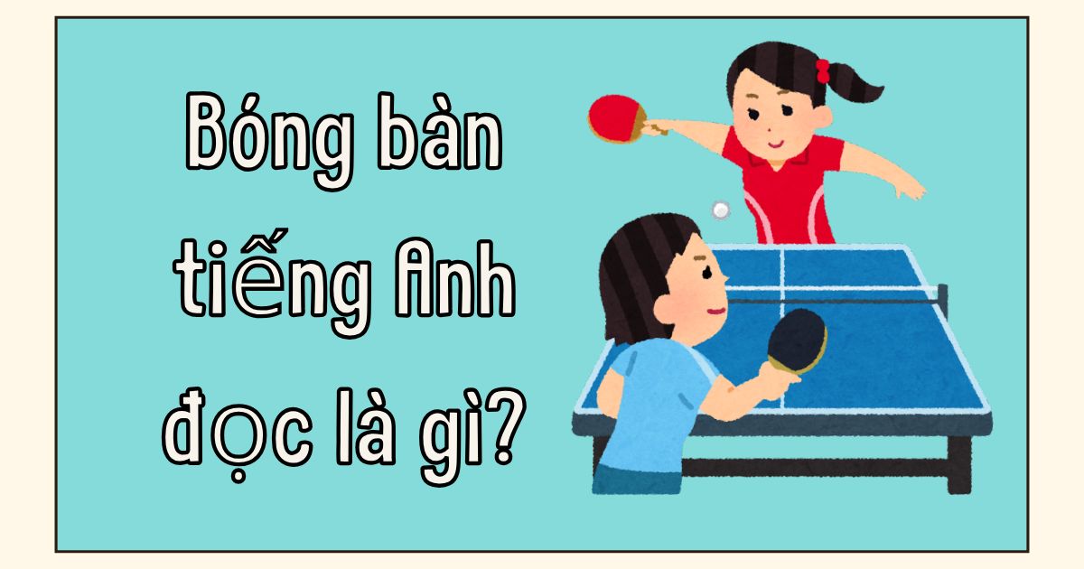 Bóng bàn tiếng Anh là gì? Tổng hợp từ vựng về bóng bàn trong tiếng Anh