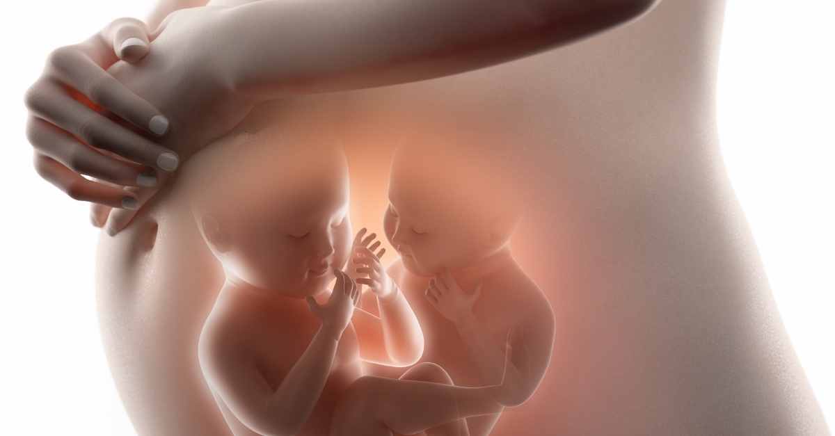 Dấu hiệu mang thai đôi sớm và chuẩn xác nhất dành cho mẹ bầu